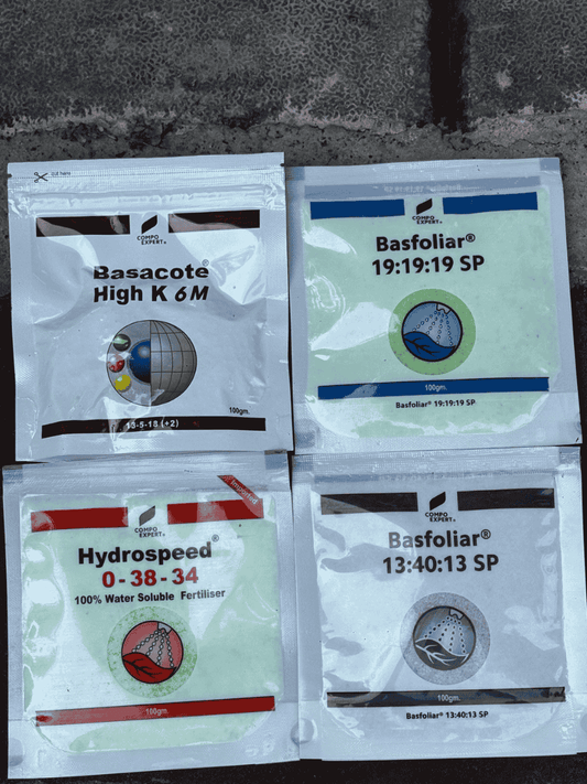 Fertilizer Combo NPK 19 19 19 + Basacote + Hydrospeed + Basfoliar 13 10 13 Growth Enhancer 100 Gms